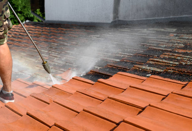 Best Roof Pressure Washing  in Chama, NM